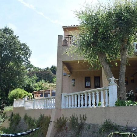 Appartement Neuf Et Independant Dans Rez-De-Villa Vallauris Bagian luar foto